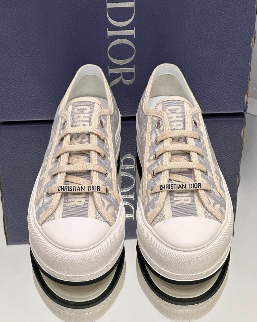 Dior  Pre-Loved Sneakers